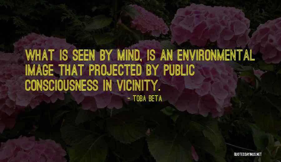 Public Perception Quotes By Toba Beta Public Perception Quotes By Toba Beta