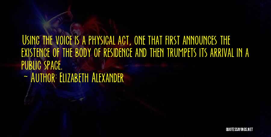 Public Persona Quotes By Elizabeth Alexander