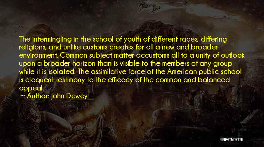 Public School Quotes By John Dewey