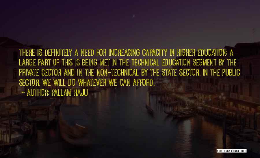 Public Sector Quotes By Pallam Raju