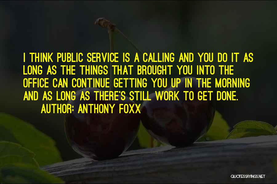 Public Service Work Quotes By Anthony Foxx