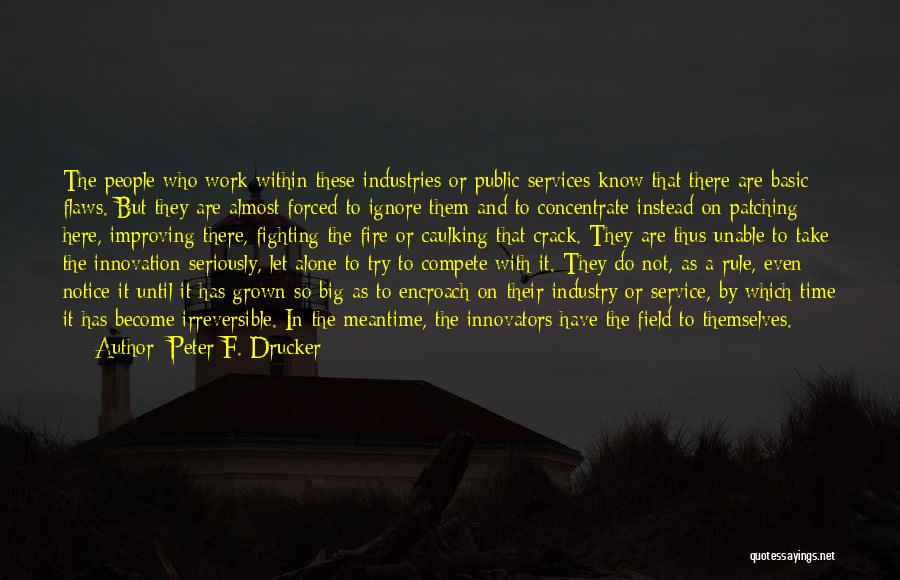 Public Service Work Quotes By Peter F. Drucker