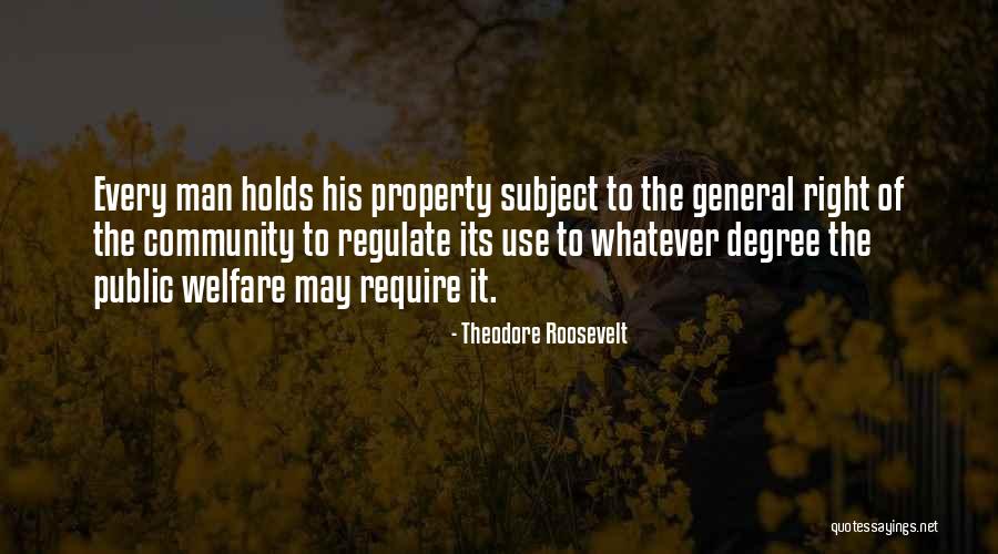 Public Welfare Quotes By Theodore Roosevelt Public Welfare Quotes By Theodore Roosevelt