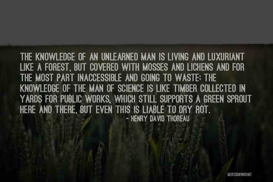 Public Works Quotes By Henry David Thoreau Public Works Quotes By Henry David Thoreau