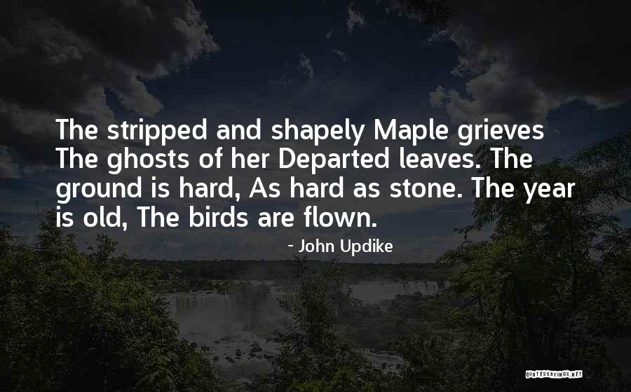 Publicaciones Kerigma Quotes By John Updike Publicaciones Kerigma Quotes By John Updike