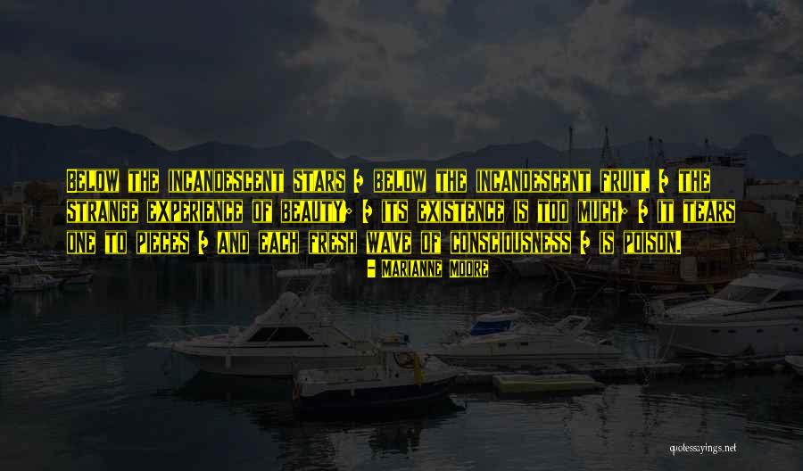 Publicizing Quotes By Marianne Moore Publicizing Quotes By Marianne Moore