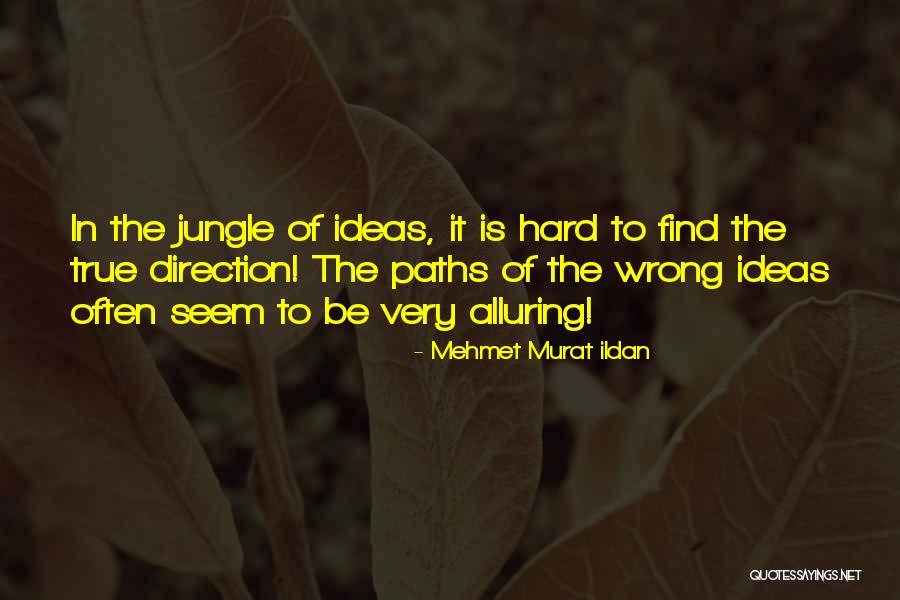 Publieke Quotes By Mehmet Murat Ildan Publieke Quotes By Mehmet Murat Ildan