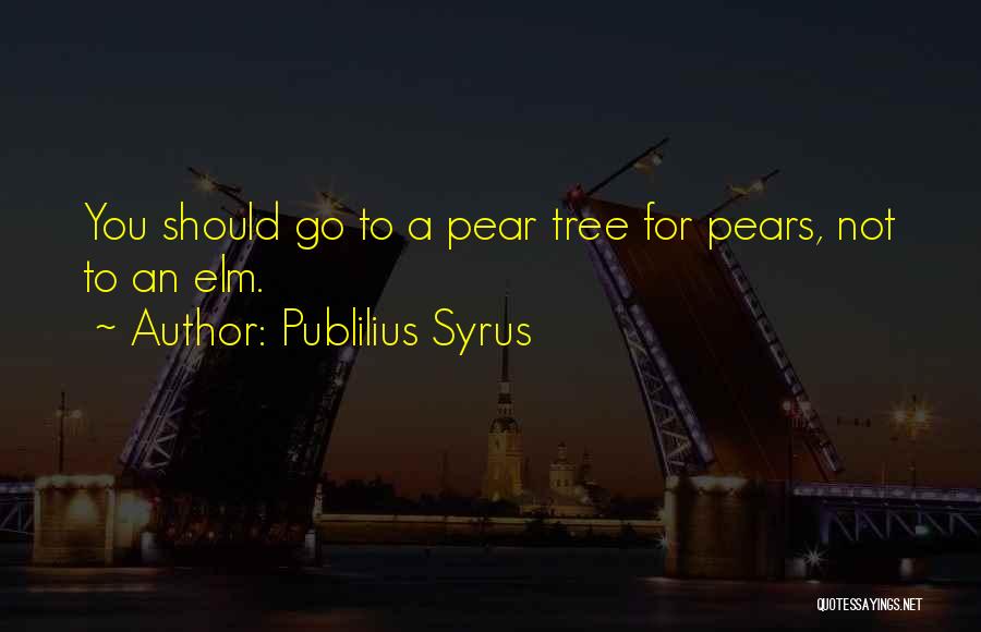Publilius Syrus Quotes 1359132
