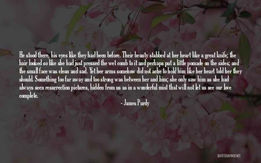 Publius Vergilius Maro Quotes By James Purdy Publius Vergilius Maro Quotes By James Purdy