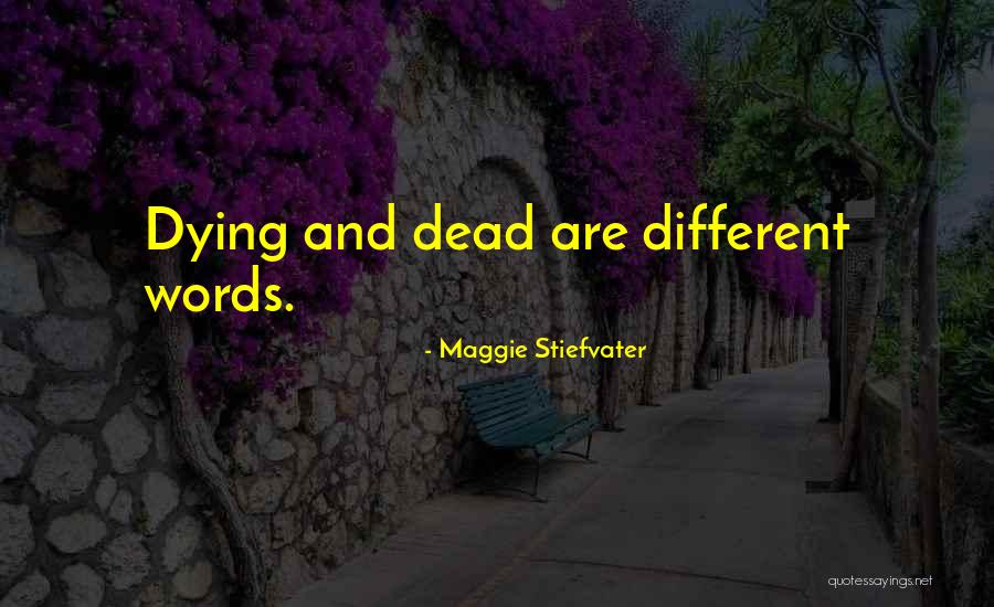 Pucciarella Quotes By Maggie Stiefvater Pucciarella Quotes By Maggie Stiefvater