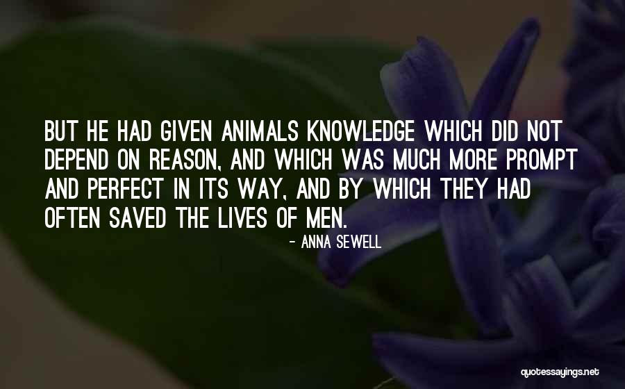 Pucciarelli Concrete Quotes By Anna Sewell Pucciarelli Concrete Quotes By Anna Sewell