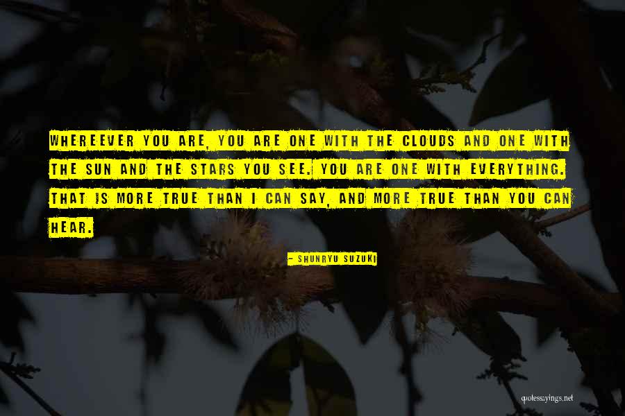 Pucher Quotes By Shunryu Suzuki