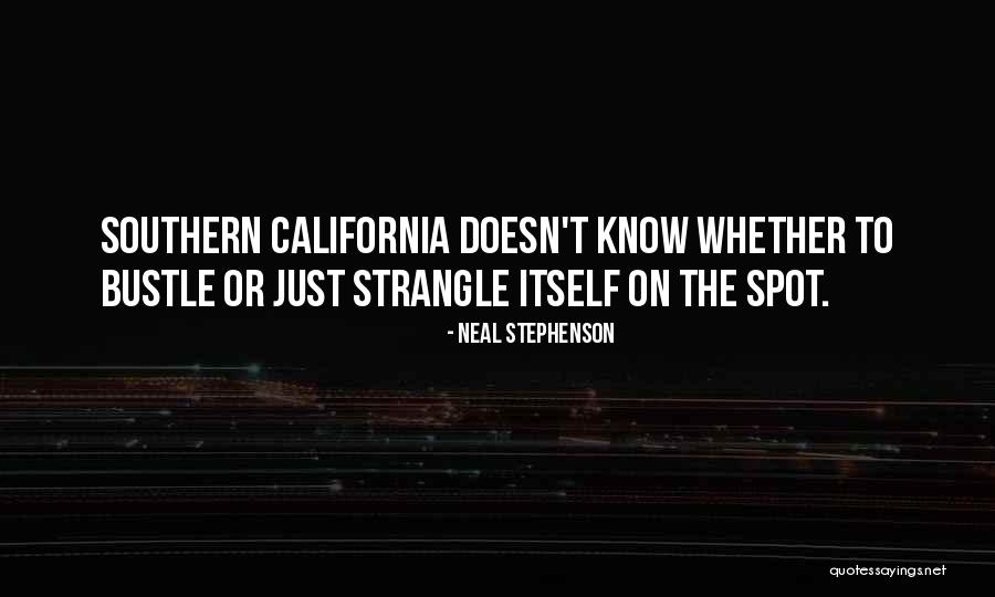 Puckoon Book Quotes By Neal Stephenson Puckoon Book Quotes By Neal Stephenson