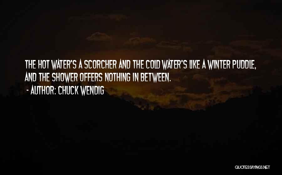 Puddle Quotes By Chuck Wendig