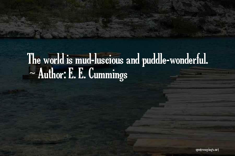 Puddle Quotes By E. E. Cummings