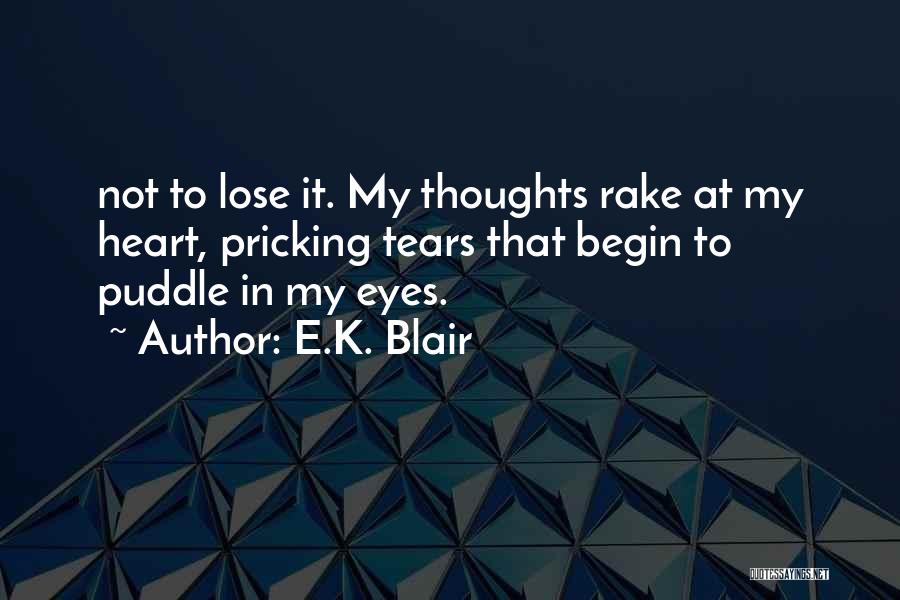 Puddle Quotes By E.K. Blair