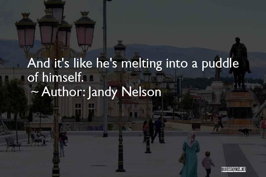 Puddle Quotes By Jandy Nelson