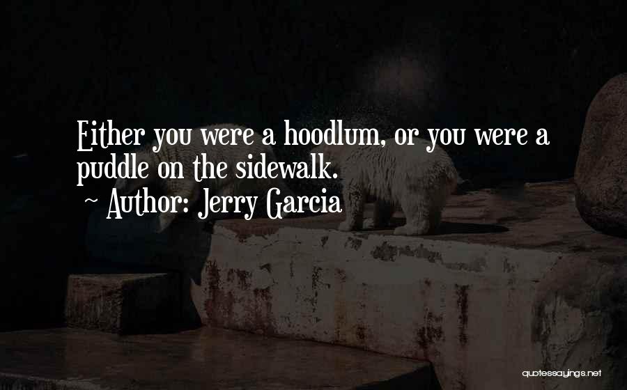 Puddle Quotes By Jerry Garcia