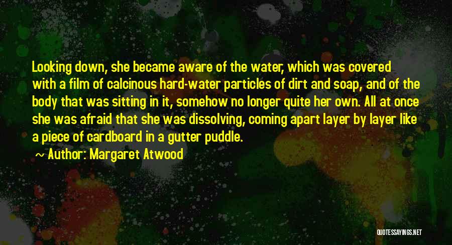 Puddle Quotes By Margaret Atwood