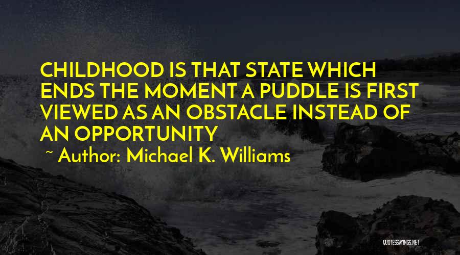 Puddle Quotes By Michael K. Williams