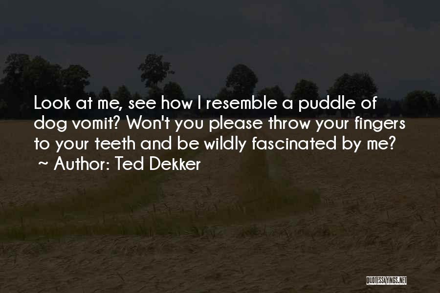 Puddle Quotes By Ted Dekker