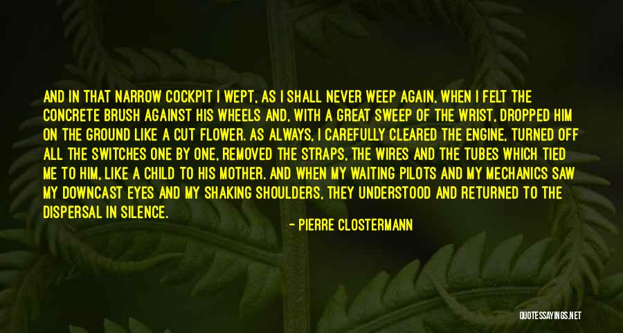 Puder O Quotes By Pierre Clostermann Puder O Quotes By Pierre Clostermann