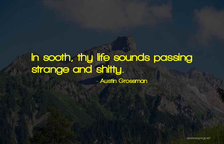Puderasto Quotes By Austin Grossman