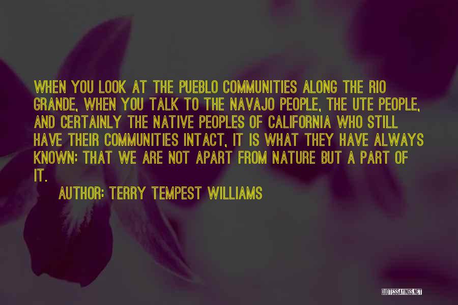 Pueblo Quotes By Terry Tempest Williams