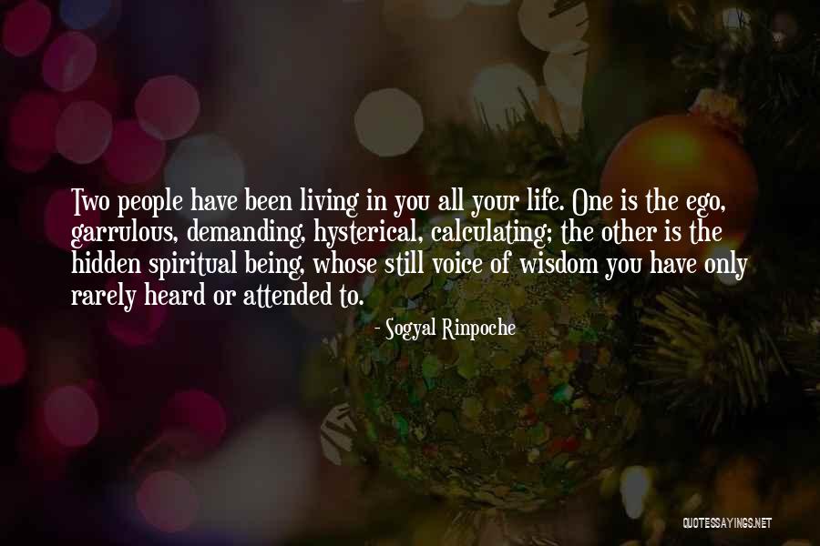 Puedo Volar Quotes By Sogyal Rinpoche Puedo Volar Quotes By Sogyal Rinpoche