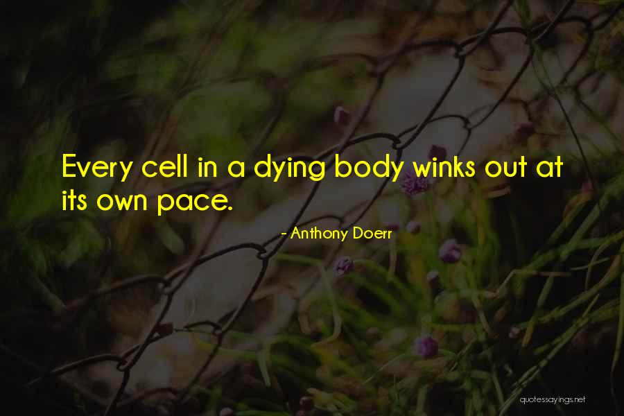 Puellae Aquam Quotes By Anthony Doerr Puellae Aquam Quotes By Anthony Doerr
