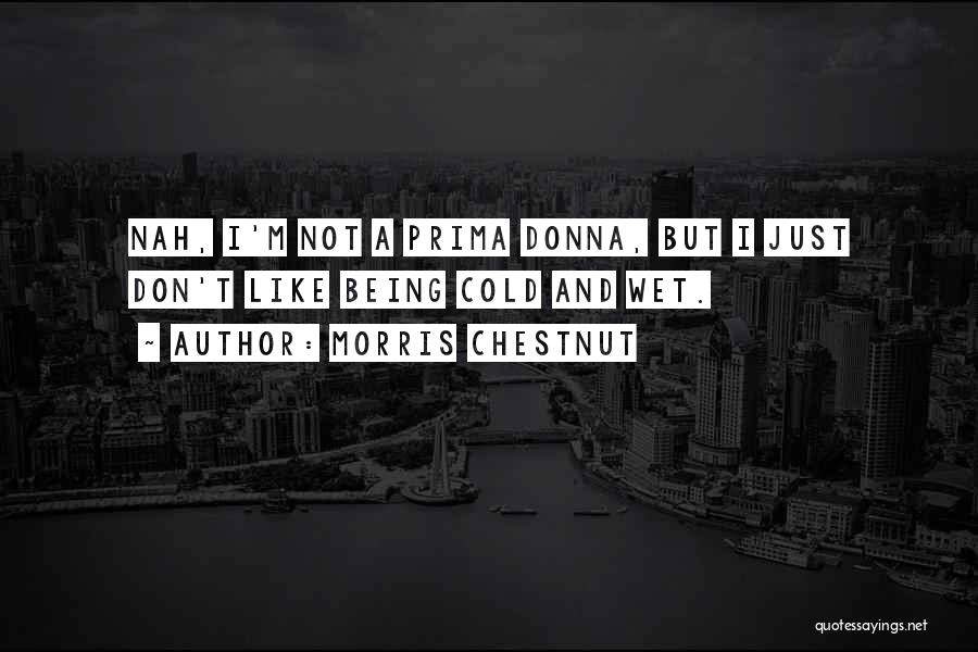 Puerto Rican Music Quotes By Morris Chestnut Puerto Rican Music Quotes By Morris Chestnut