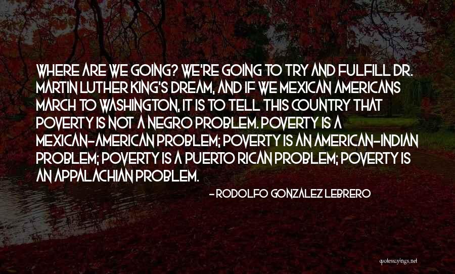 Puerto Rican Quotes By Rodolfo Gonzalez Lebrero