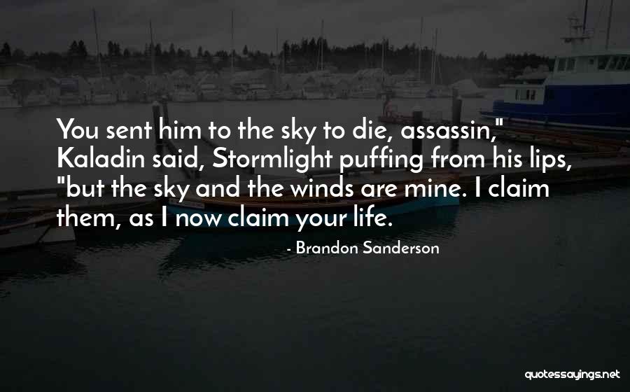 Puffing Quotes By Brandon Sanderson Puffing Quotes By Brandon Sanderson