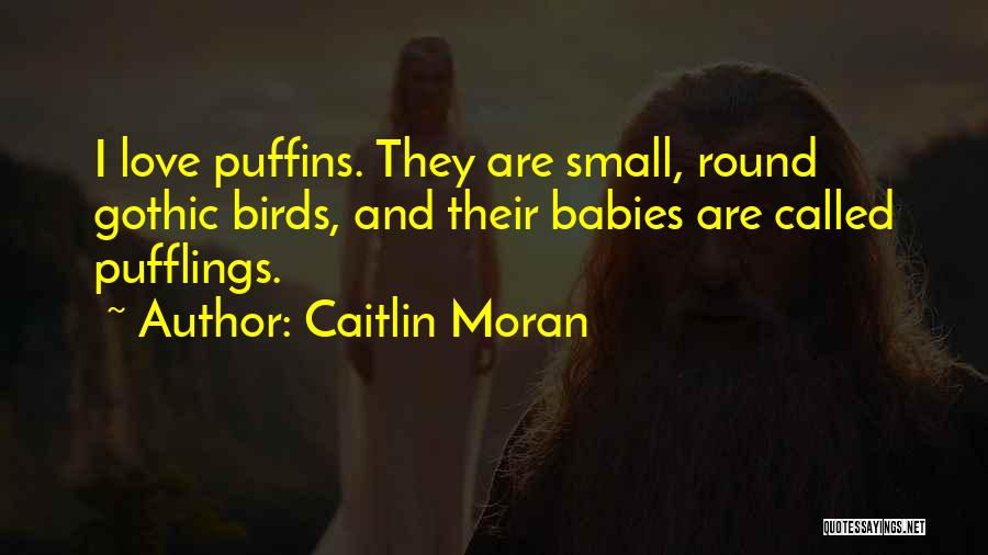 Puffins Quotes By Caitlin Moran