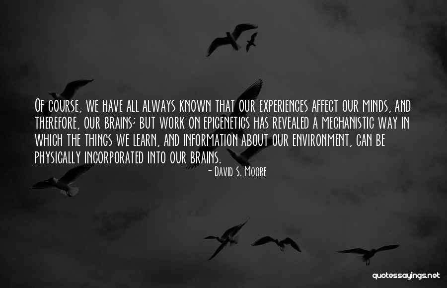 Pufflings Birds Quotes By David S. Moore Pufflings Birds Quotes By David S. Moore