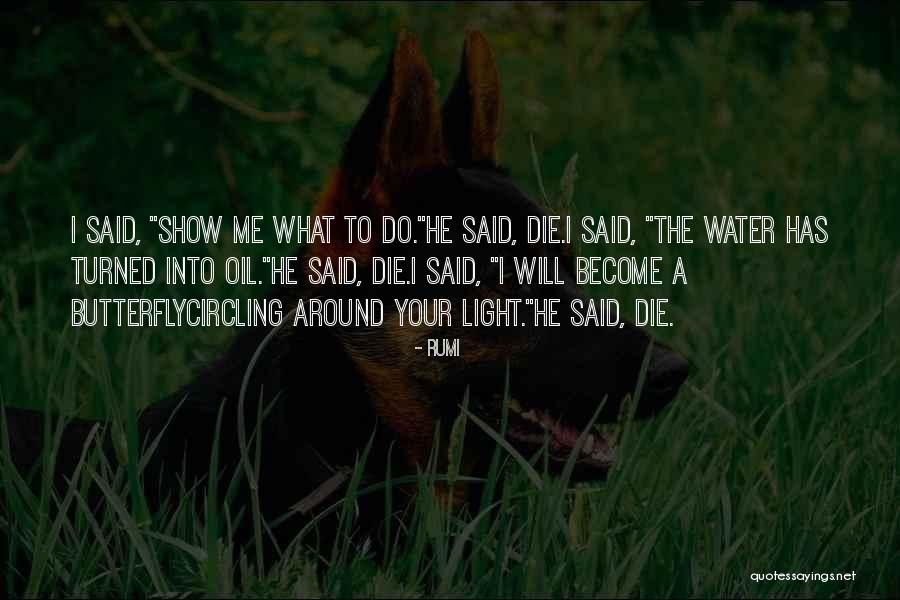 Puffys Net Quotes By Rumi Puffys Net Quotes By Rumi