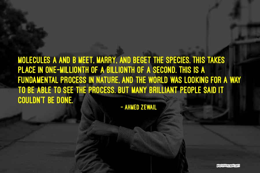 Pugilistic Quotes By Ahmed Zewail Pugilistic Quotes By Ahmed Zewail