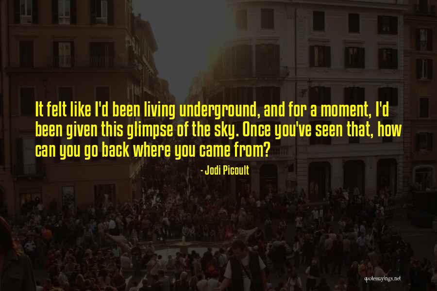 Puglisi Barber Quotes By Jodi Picoult Puglisi Barber Quotes By Jodi Picoult