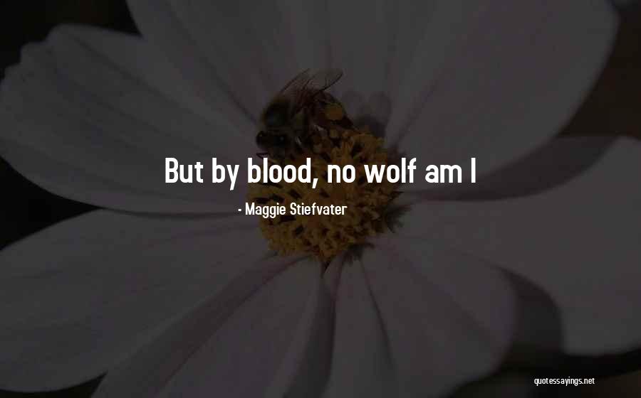 Pugner Joe Quotes By Maggie Stiefvater Pugner Joe Quotes By Maggie Stiefvater