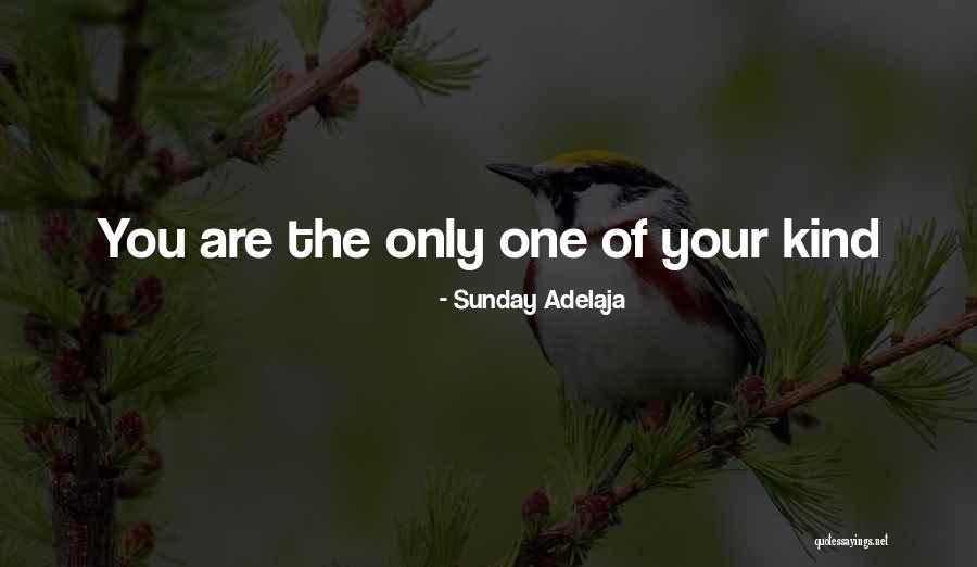 Puhois Quotes By Sunday Adelaja