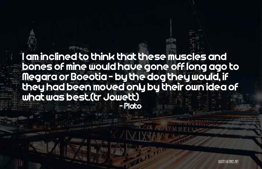 Puinare Quotes By Plato Puinare Quotes By Plato