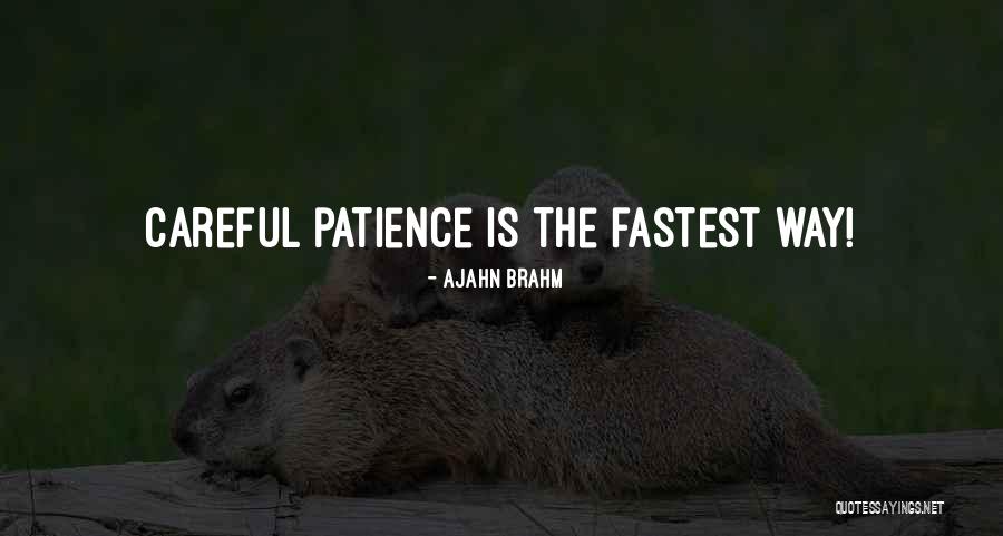 Puissent Quotes By Ajahn Brahm Puissent Quotes By Ajahn Brahm