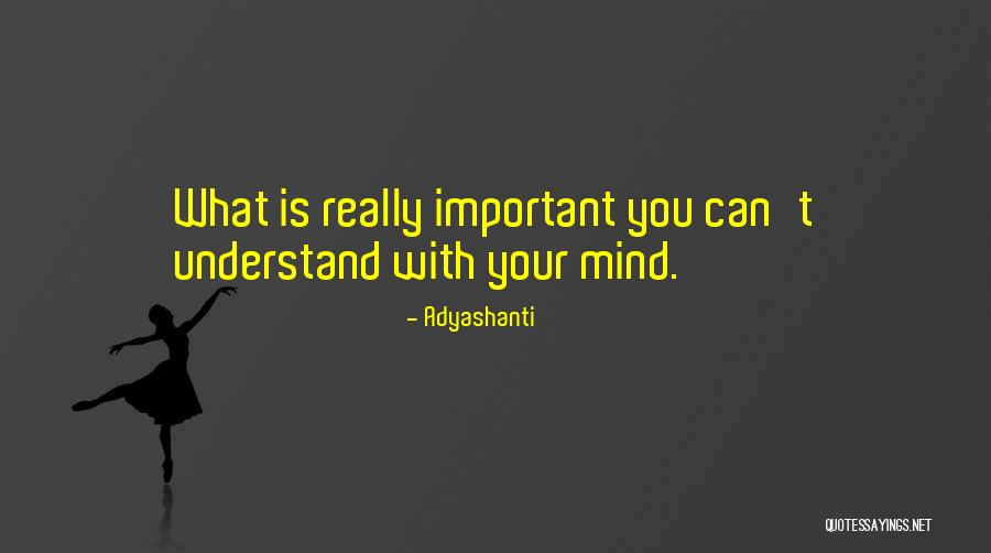 Puiul De Ioan Quotes By Adyashanti Puiul De Ioan Quotes By Adyashanti