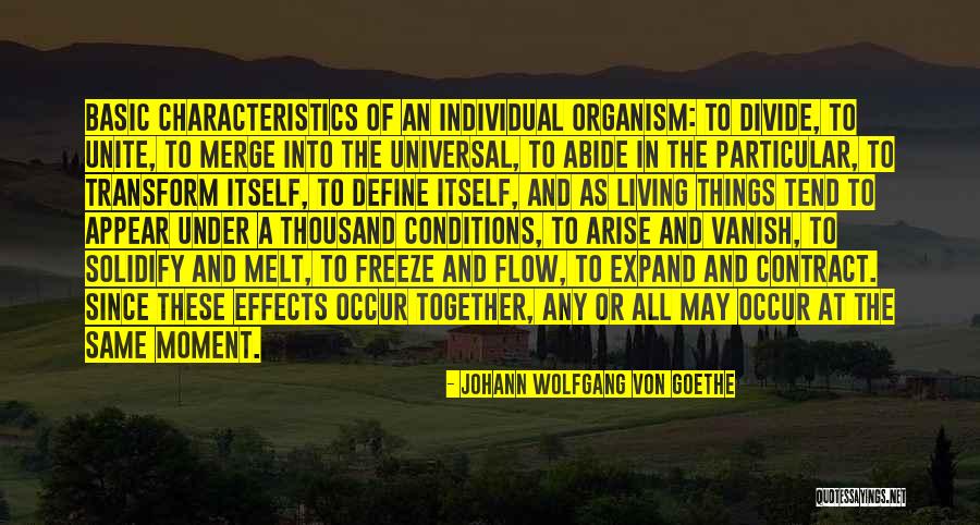 Puja Patel Quotes By Johann Wolfgang Von Goethe Puja Patel Quotes By Johann Wolfgang Von Goethe