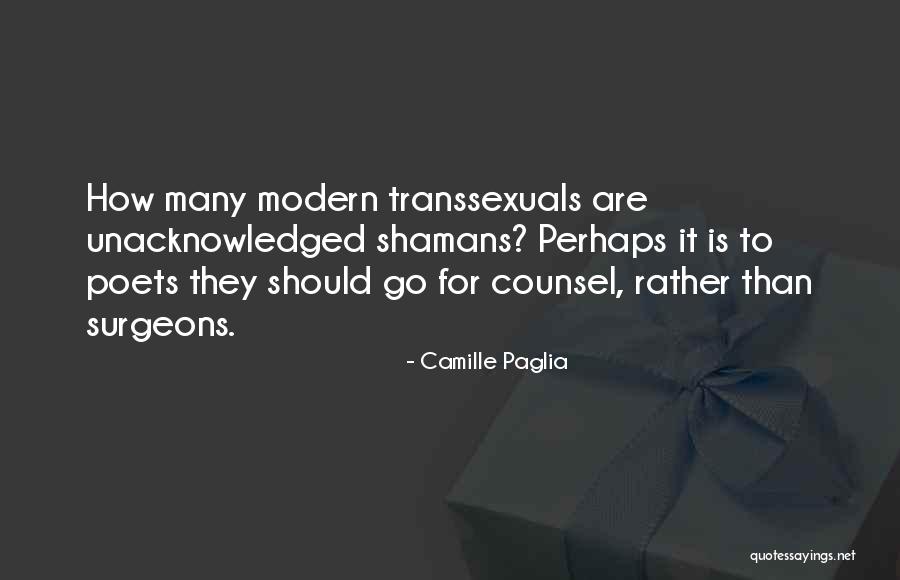Pukkila Worley Quotes By Camille Paglia Pukkila Worley Quotes By Camille Paglia