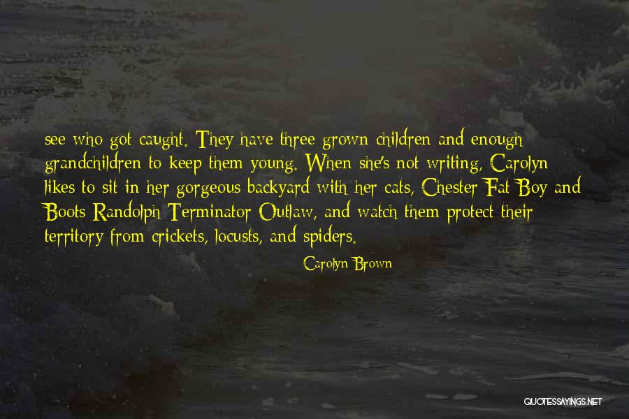 Pulcinellas Italian Quotes By Carolyn Brown