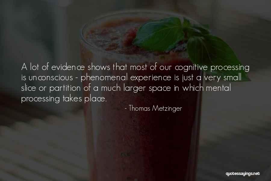Puliafito Carmen Quotes By Thomas Metzinger Puliafito Carmen Quotes By Thomas Metzinger