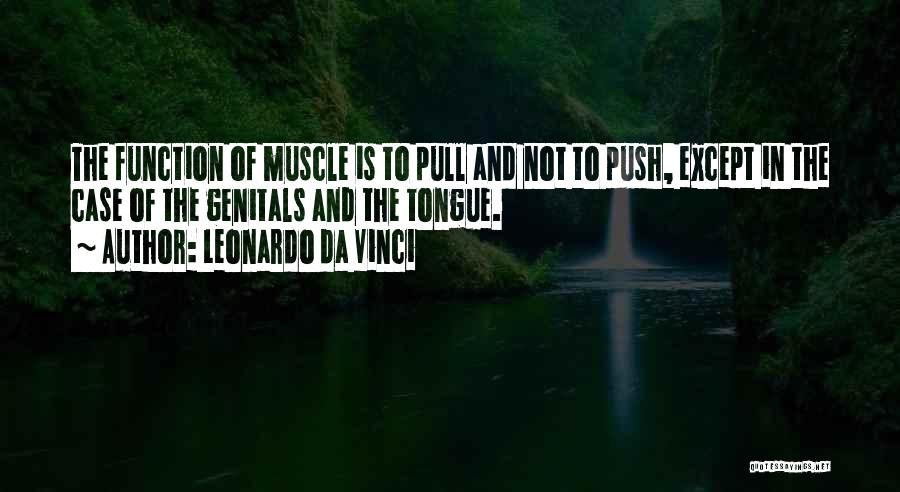 Pull And Push Quotes By Leonardo Da Vinci
