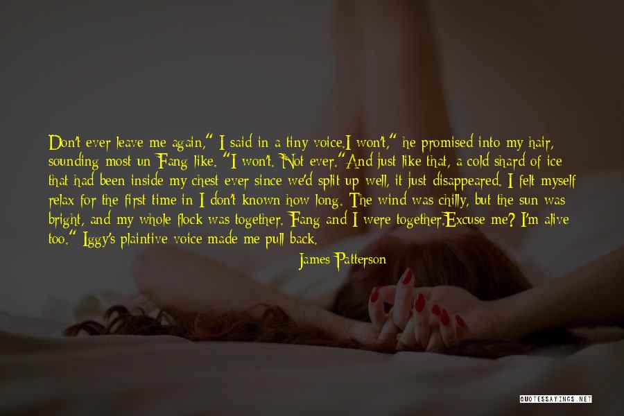 Pull Hair Quotes By James Patterson