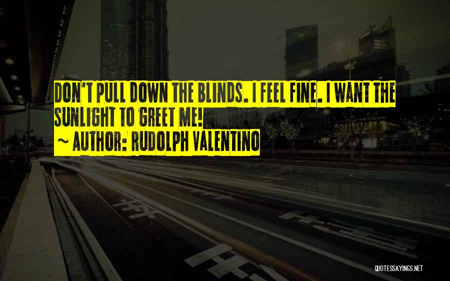 Pull Me Down Quotes By Rudolph Valentino